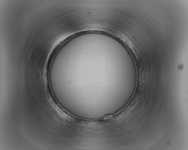 X0000097601072200803141911