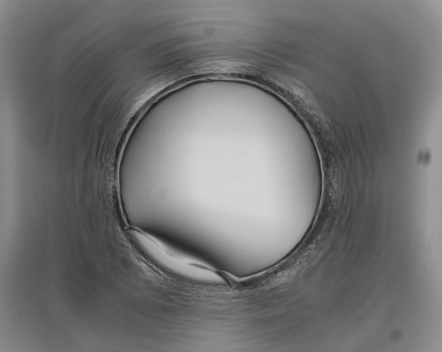 X0000097601073200803141911