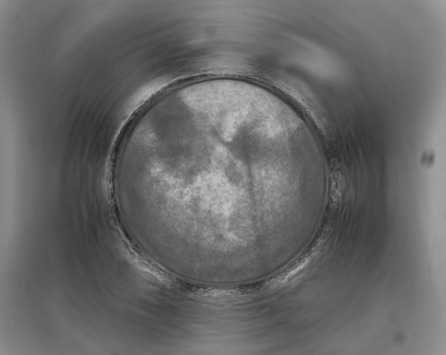 X0000097601074200803141911
