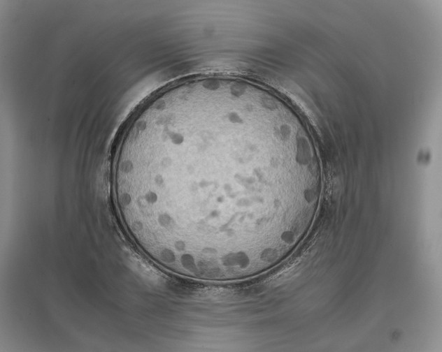 X0000097601075200803141911
