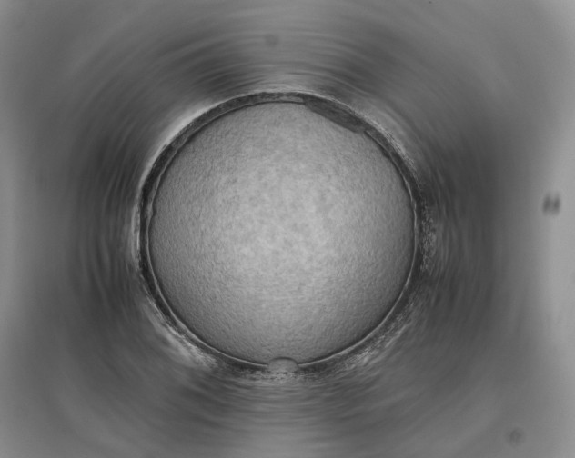 X0000097601076200803141911