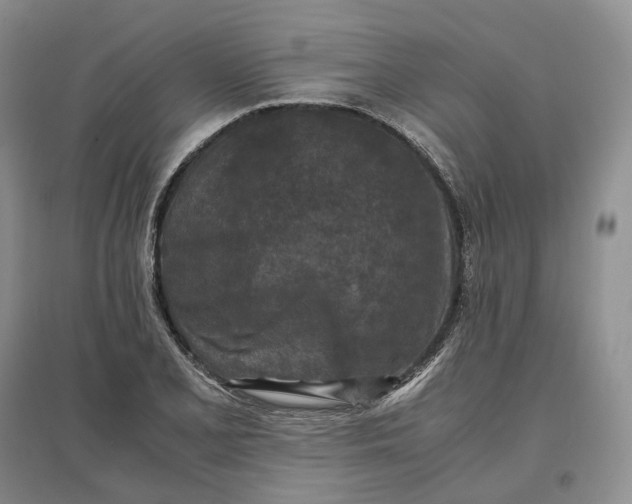 X0000097601077200803141911