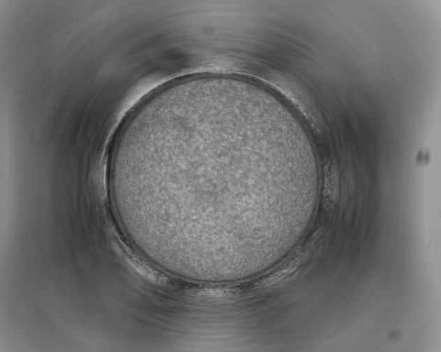 X0000097601078200803141911