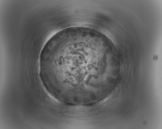 X0000097601079200803141911