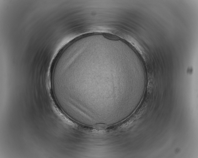 X0000097601080200803141911