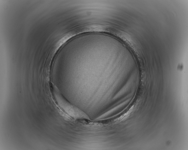 X0000097601081200803141911