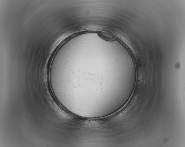 X0000097601082200803141911