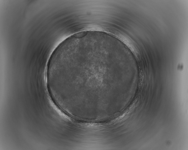X0000097601084200803141911