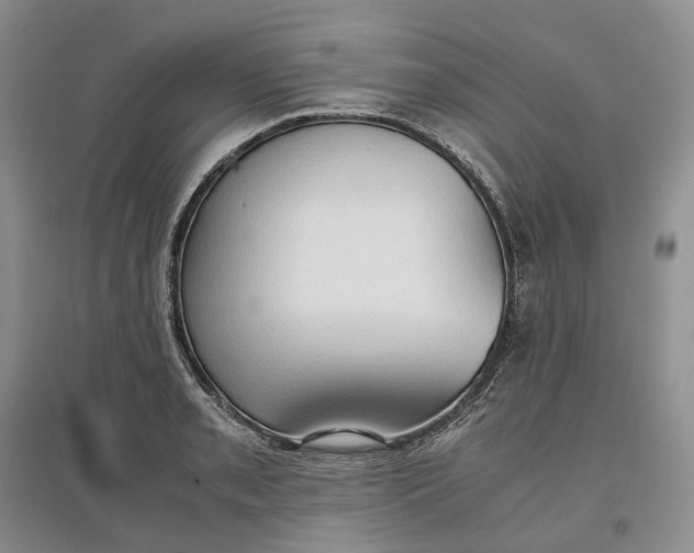 X0000097601085200803141911