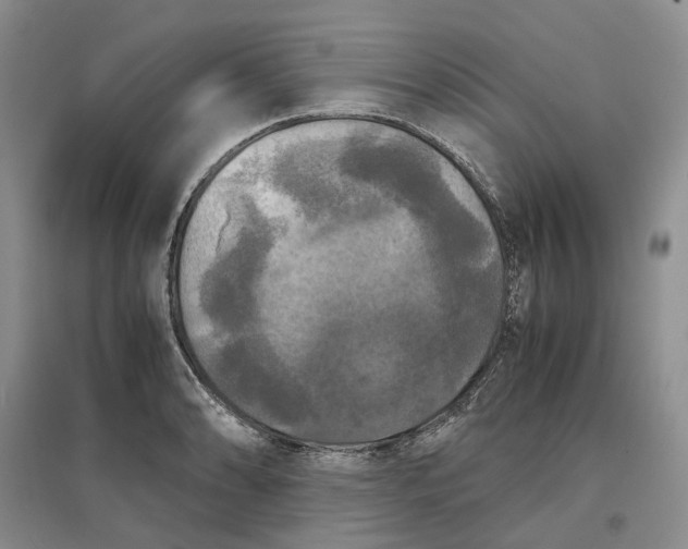 X0000097601086200803141911
