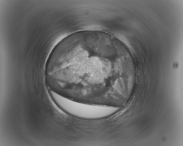 X0000097601087200803141911