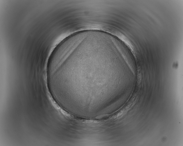 X0000097601088200803141911