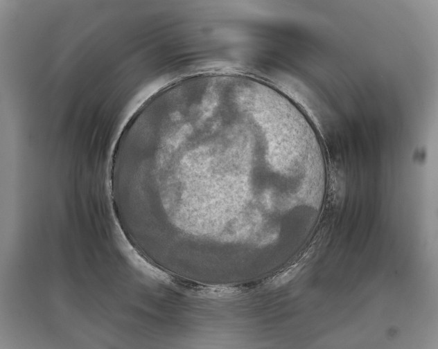 X0000097601090200803141911