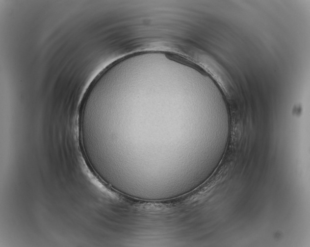 X0000097601092200803141911