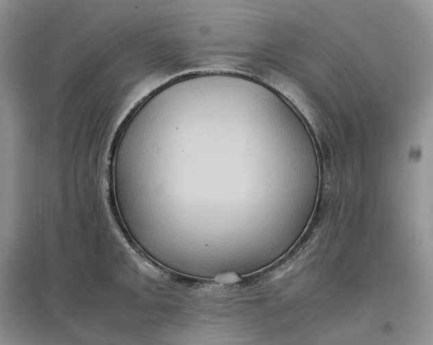X0000097601093200803141911