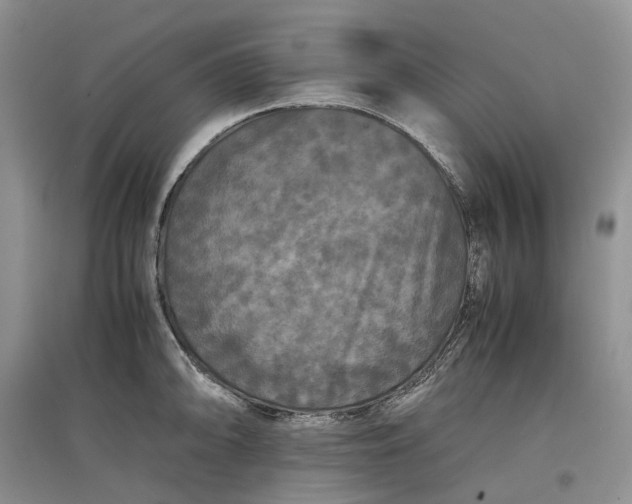 X0000097601094200803141911