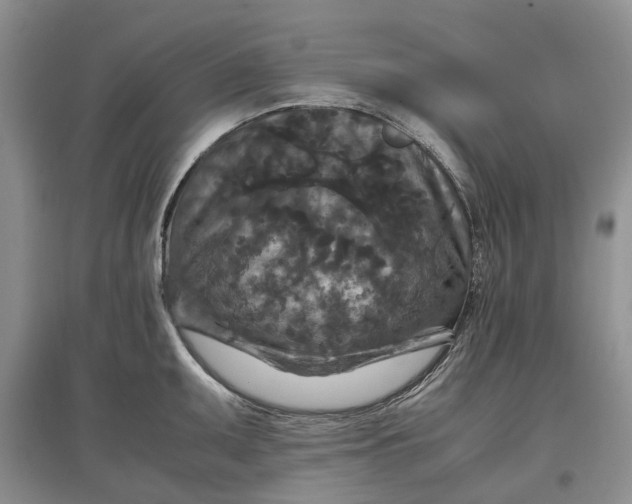 X0000097601095200803141911