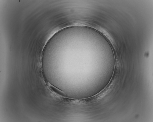 X0000097601097200803141911