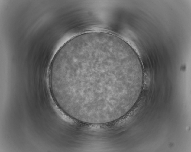 X0000097601098200803141911