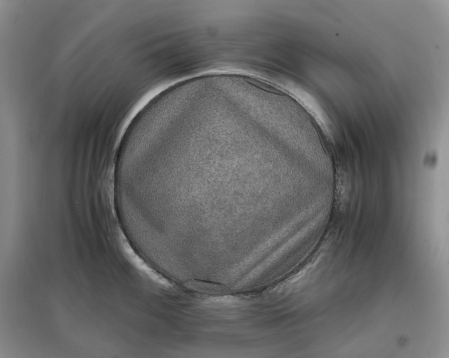 X0000097601100200803141911