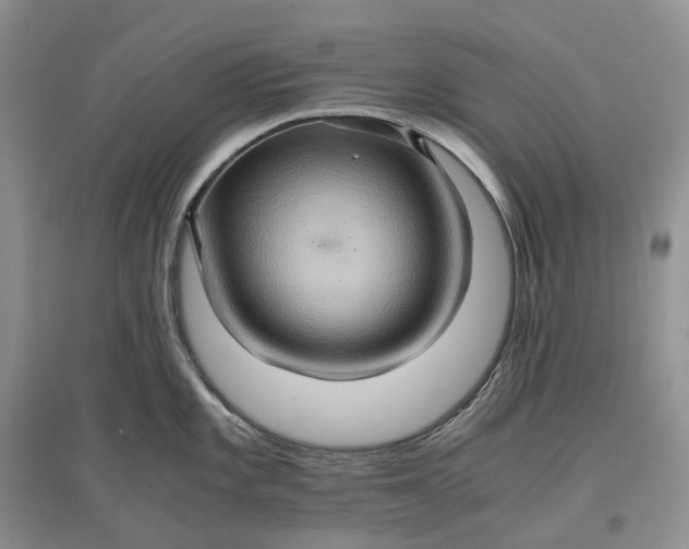 X0000097601101200803141911
