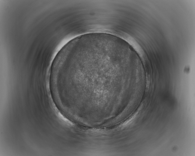 X0000097601102200803141911