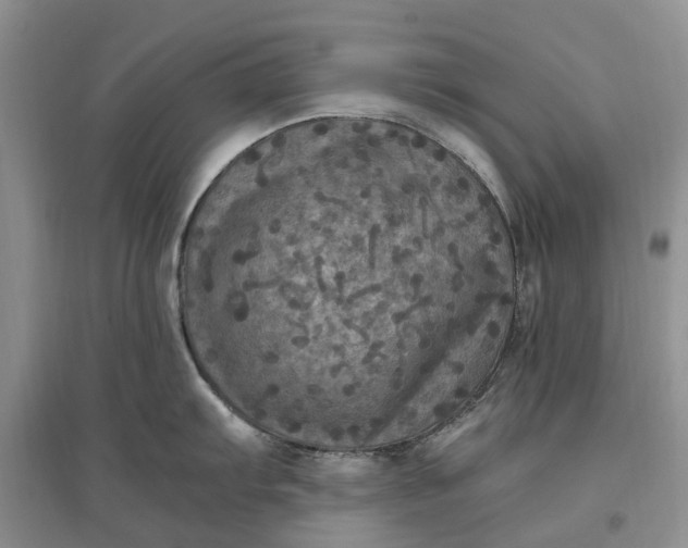 X0000097601103200803141911