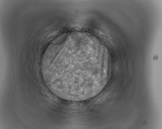 X0000097601105200803141910