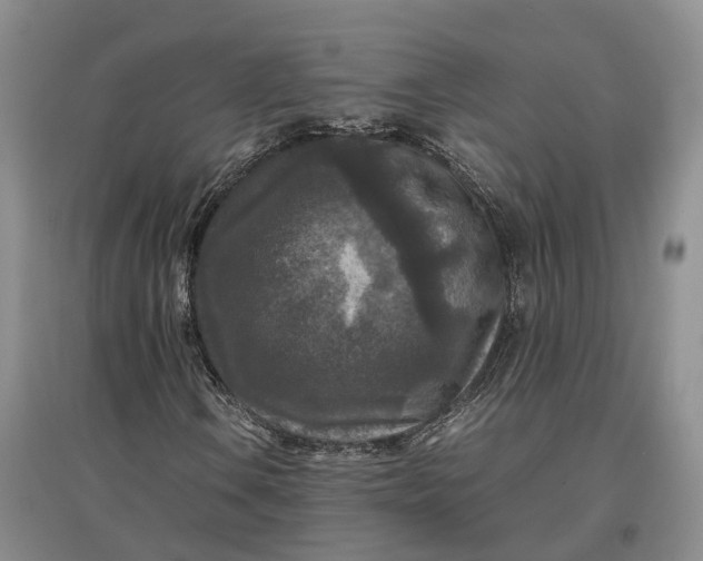 X0000097601106200803141910