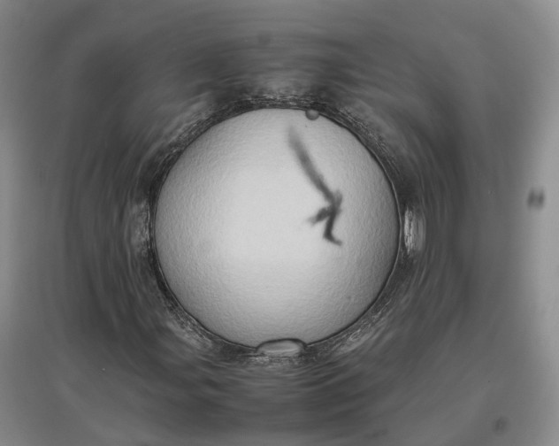 X0000097601107200803141910