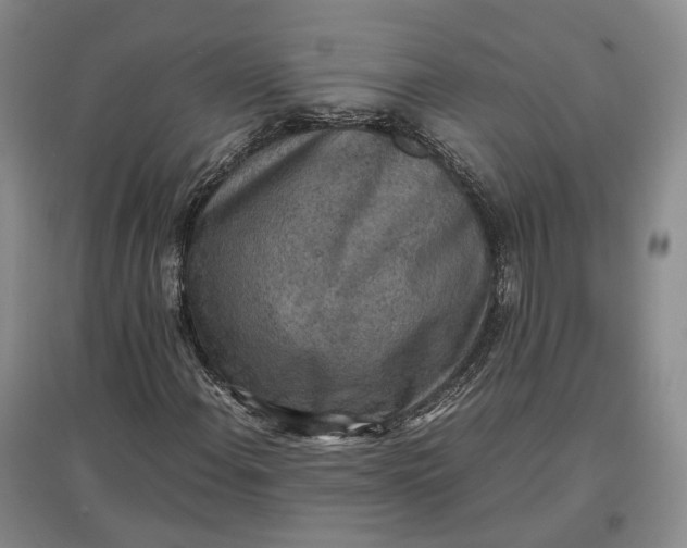 X0000097601108200803141910