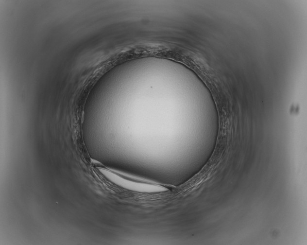 X0000097601109200803141910