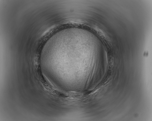 X0000097601110200803141910