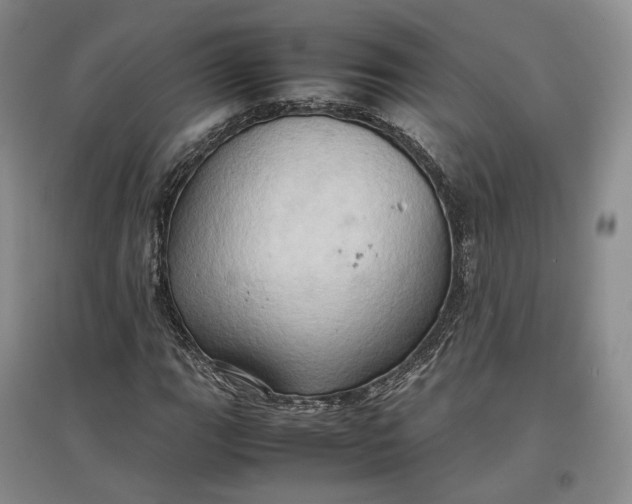 X0000097601111200803141910