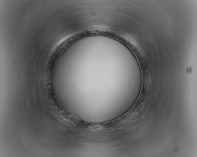 X0000097601112200803141910
