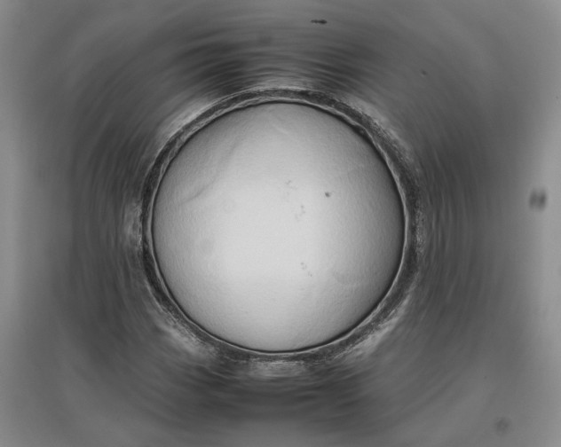 X0000097601113200803141910
