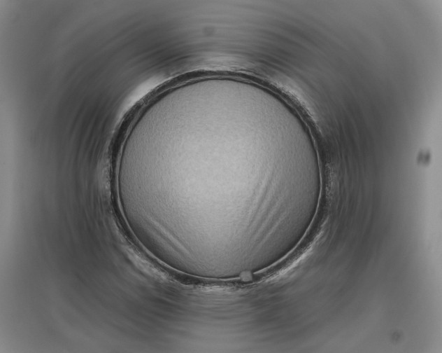 X0000097601114200803141910