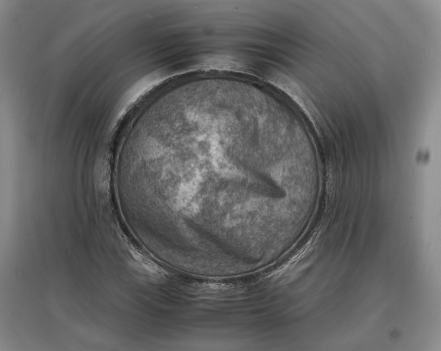 X0000097601115200803141910