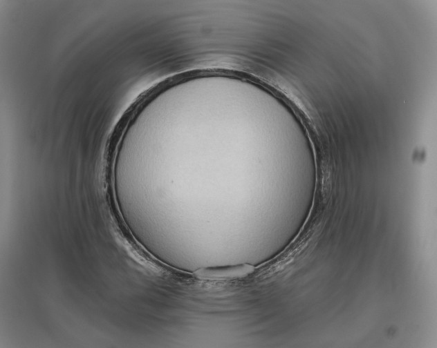 X0000097601116200803141910