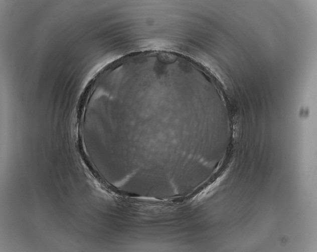 X0000097601117200803141910