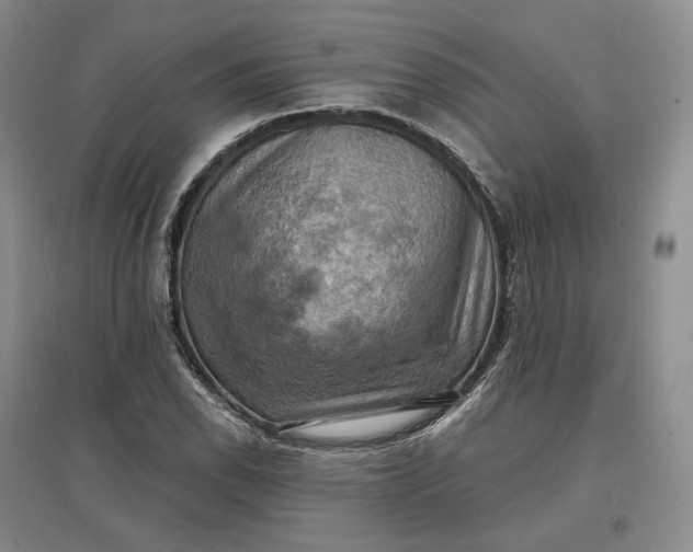 X0000097601118200803141910