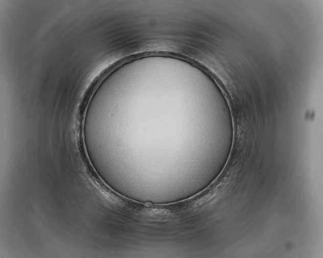 X0000097601119200803141910
