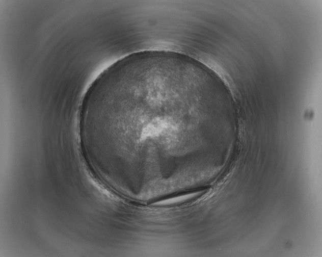 X0000097601120200803141910