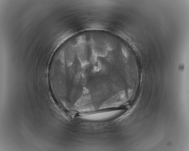 X0000097601121200803141910