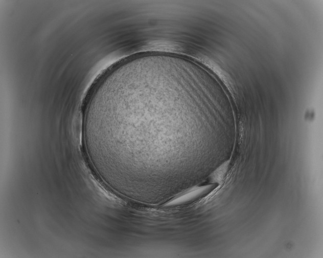 X0000097601123200803141910