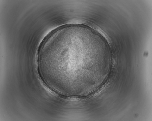 X0000097601124200803141910