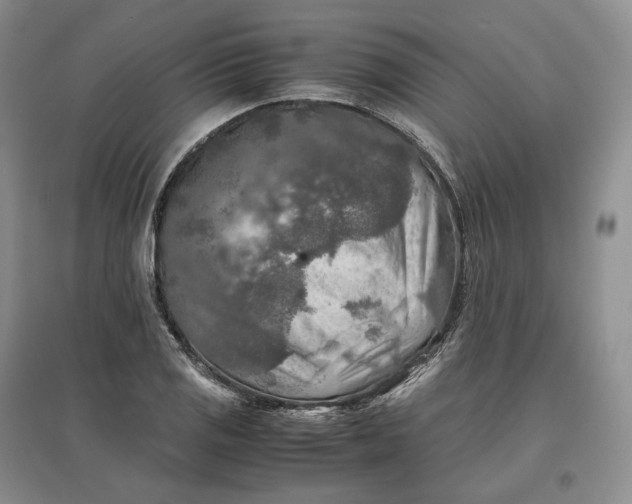 X0000097601125200803141910