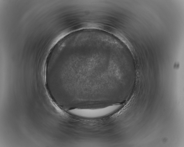 X0000097601127200803141910