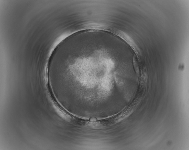 X0000097601128200803141910