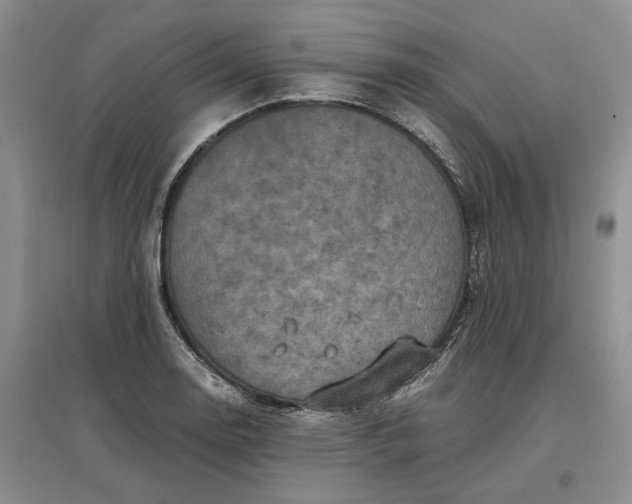 X0000097601130200803141911